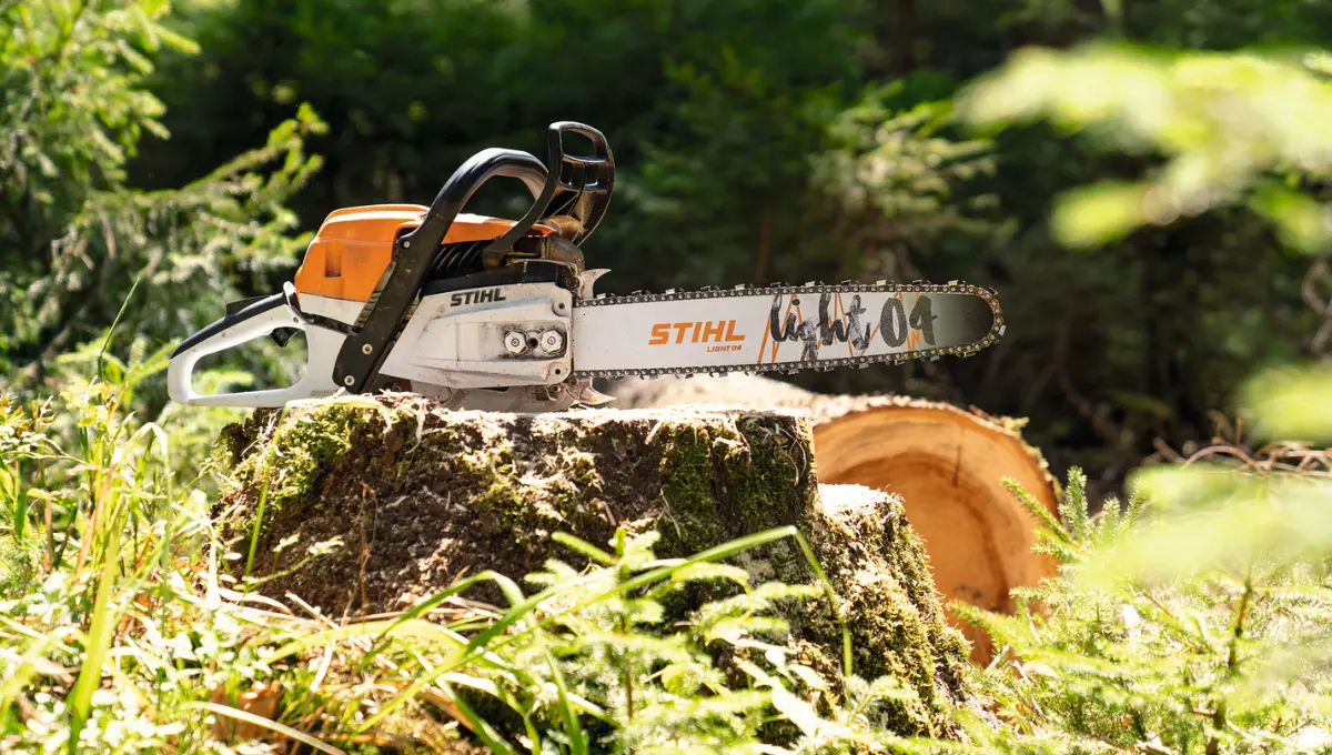 Egy STIHL fűrész áll egy farönkön az erdőben.